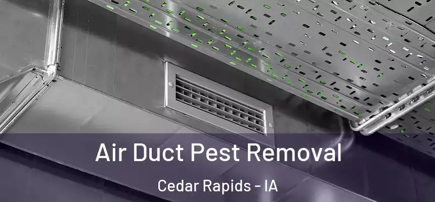 Air Duct Pest Removal Cedar Rapids - IA