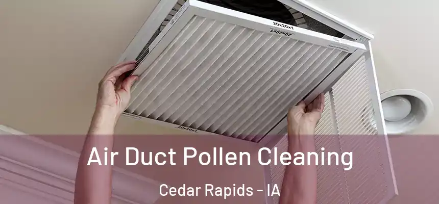 Air Duct Pollen Cleaning Cedar Rapids - IA