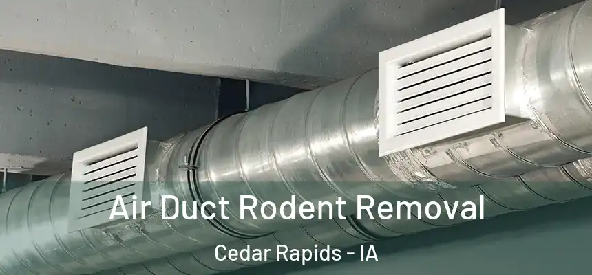 Air Duct Rodent Removal Cedar Rapids - IA