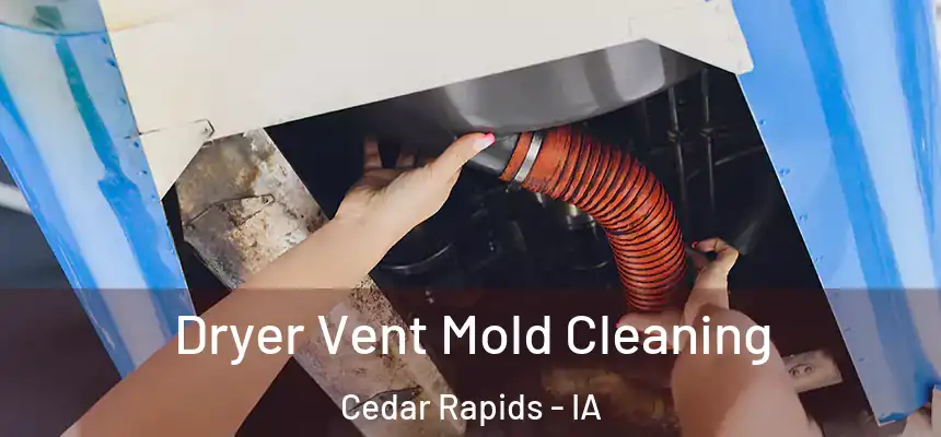 Dryer Vent Mold Cleaning Cedar Rapids - IA