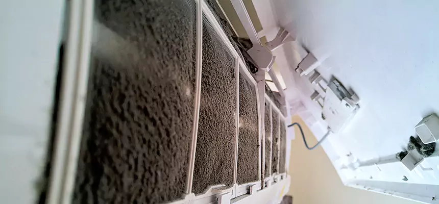 Preventive Air Duct Bacteria Removal in Cedar Rapids