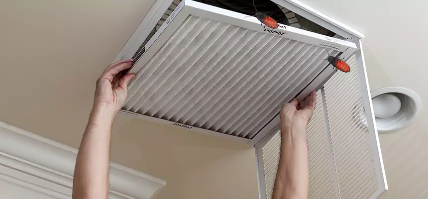 Preventive Cockroach-Proofing for Ducts in Cedar Rapids