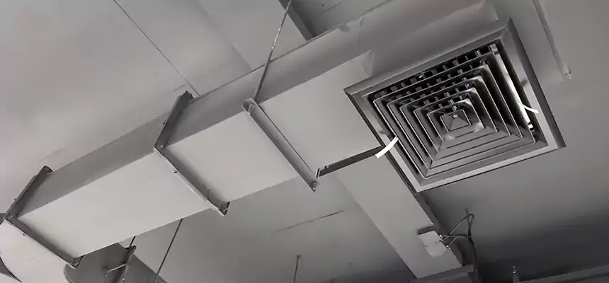 Restorative Allergy Relief Vent Cleaning – Coil, Blower & Housing Detail in Cedar Rapids