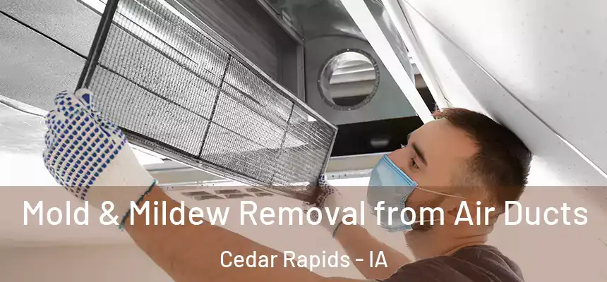  Mold & Mildew Removal from Air Ducts Cedar Rapids - IA