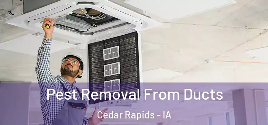  Pest Removal From Ducts Cedar Rapids - IA