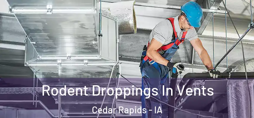  Rodent Droppings In Vents Cedar Rapids - IA