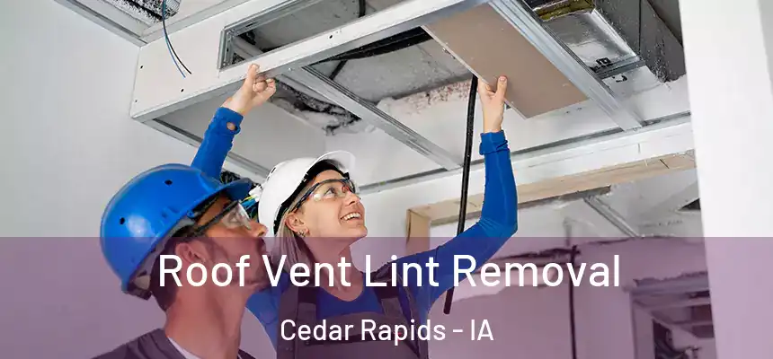  Roof Vent Lint Removal Cedar Rapids - IA