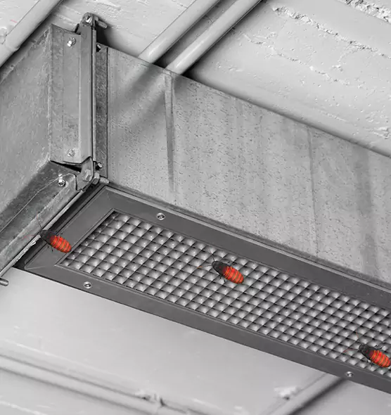 About Air Duct Cockroach Removal in Cedar Rapids, IA