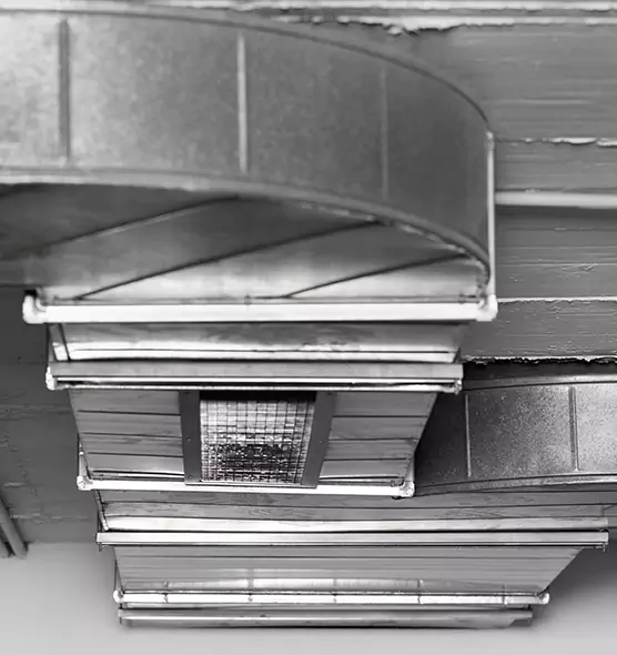 Professional Air Duct Pet Hair Removal in Cedar Rapids, IA