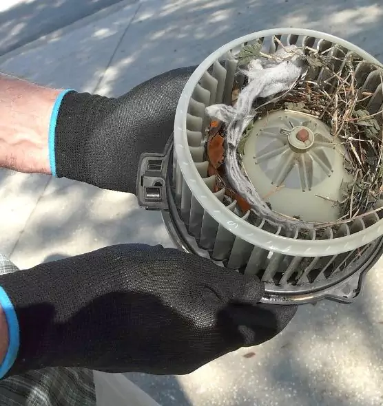 About Air Duct Rat Removal in Cedar Rapids, IA