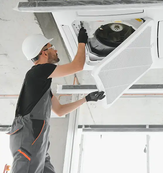 About Air Duct Rodent Removal in Cedar Rapids, IA