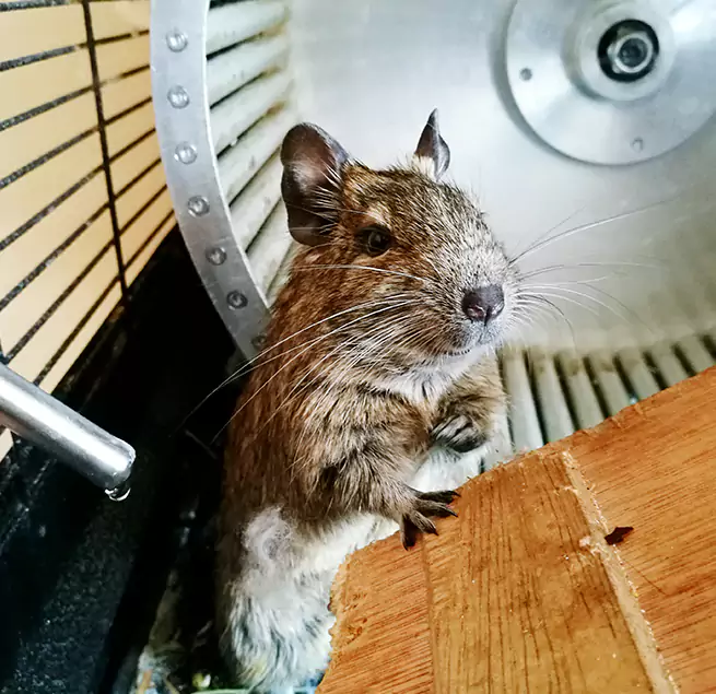 Why Homeowners & Businesses Trust Us Cedar Rapids, IA?