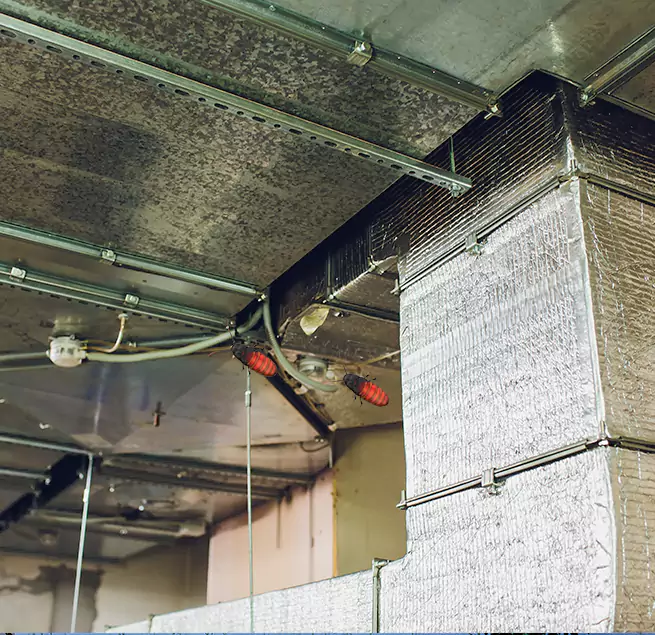 Why Homeowners & Businesses Trust Us Cedar Rapids, IA?